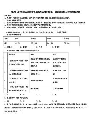 2023-2024学年湖南省怀化市九年级化学第一学期期末复习检测模拟试题含解析.doc