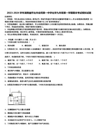 2023-2024学年湖南省怀化市会同第一中学化学九年级第一学期期末考试模拟试题含解析.doc