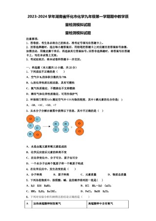 2023-2024学年湖南省怀化市化学九年级第一学期期中教学质量检测模拟试题含解析.doc