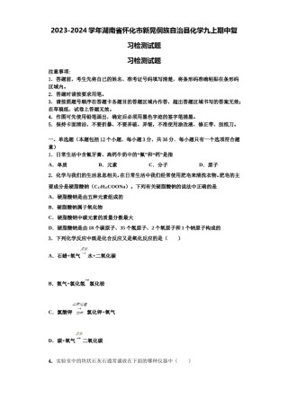 2023-2024学年湖南省怀化市新晃侗族自治县化学九上期中复习检测试题含解析.doc