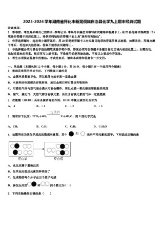 2023-2024学年湖南省怀化市新晃侗族自治县化学九上期末经典试题含解析.doc