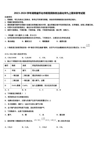 2023-2024学年湖南省怀化市新晃侗族自治县化学九上期末联考试题含解析.doc