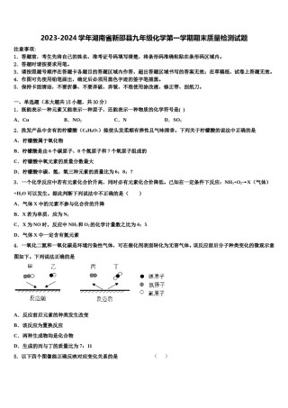 2023-2024学年湖南省新邵县九年级化学第一学期期末质量检测试题含解析.doc