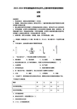 2023-2024学年湖南省株州市化学九上期中教学质量检测模拟试题含解析.doc