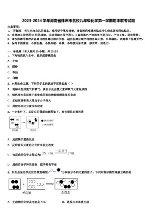 2023-2024学年湖南省株洲市名校九年级化学第一学期期末联考试题含解析.doc