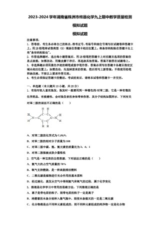 2023-2024学年湖南省株洲市攸县化学九上期中教学质量检测模拟试题含解析.doc