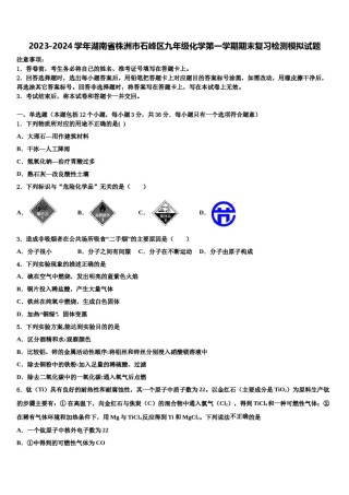 2023-2024学年湖南省株洲市石峰区九年级化学第一学期期末复习检测模拟试题含解析.doc