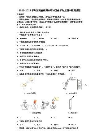 2023-2024学年湖南省株洲市石峰区化学九上期中检测试题含解析.doc