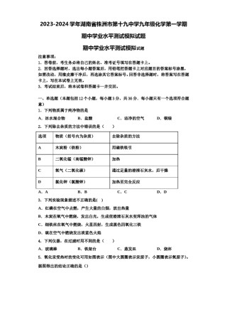 2023-2024学年湖南省株洲市第十九中学九年级化学第一学期期中学业水平测试模拟试题含解析.doc