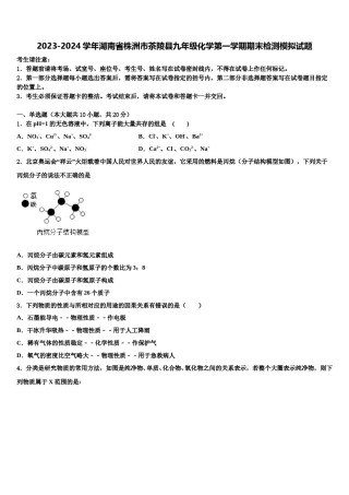 2023-2024学年湖南省株洲市茶陵县九年级化学第一学期期末检测模拟试题含解析.doc