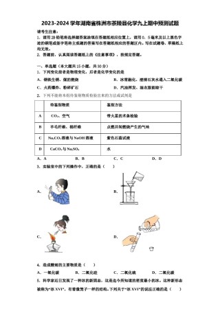 2023-2024学年湖南省株洲市茶陵县化学九上期中预测试题含解析.doc
