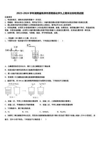 2023-2024学年湖南省株洲市茶陵县化学九上期末达标检测试题含解析.doc