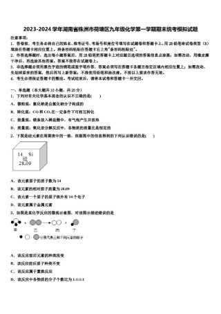 2023-2024学年湖南省株洲市荷塘区九年级化学第一学期期末统考模拟试题含解析.doc