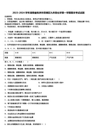 2023-2024学年湖南省株洲市荷塘区九年级化学第一学期期末考试试题含解析.doc