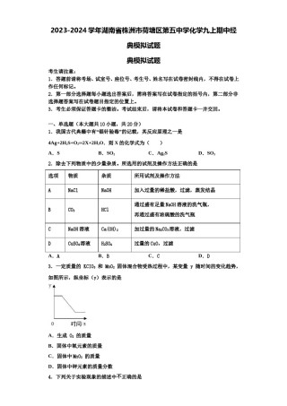 2023-2024学年湖南省株洲市荷塘区第五中学化学九上期中经典模拟试题含解析.doc