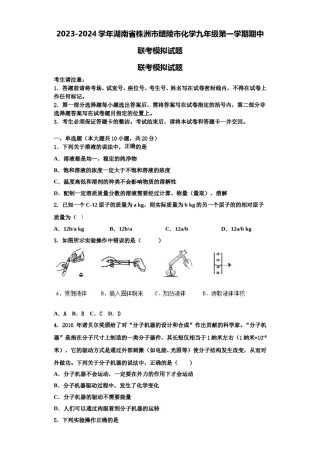 2023-2024学年湖南省株洲市醴陵市化学九年级第一学期期中联考模拟试题含解析.doc