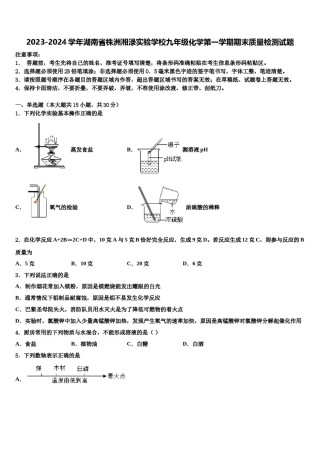 2023-2024学年湖南省株洲湘渌实验学校九年级化学第一学期期末质量检测试题含解析.doc