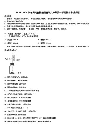 2023-2024学年湖南省桂阳县化学九年级第一学期期末考试试题含解析.doc
