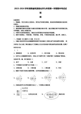 2023-2024学年湖南省桃源县化学九年级第一学期期中考试试题含解析.doc