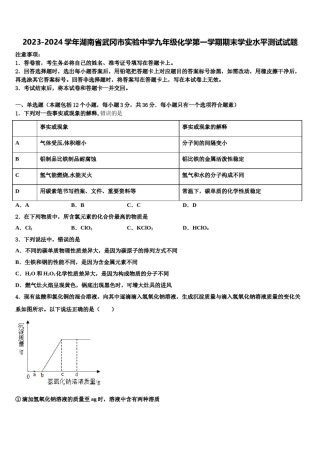 2023-2024学年湖南省武冈市实验中学九年级化学第一学期期末学业水平测试试题含解析.doc