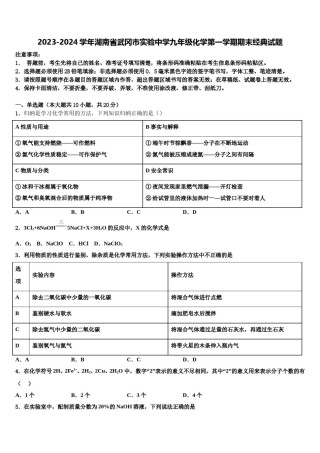 2023-2024学年湖南省武冈市实验中学九年级化学第一学期期末经典试题含解析.doc