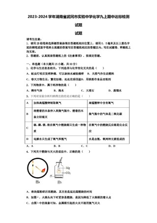 2023-2024学年湖南省武冈市实验中学化学九上期中达标检测试题含解析.doc