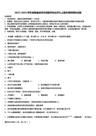 2023-2024学年湖南省武冈市洞庭学校化学九上期末调研模拟试题含解析.doc