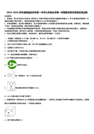 2023-2024学年湖南省武冈市第一中学九年级化学第一学期期末教学质量检测试题含解析.doc