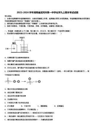 2023-2024学年湖南省武冈市第一中学化学九上期末考试试题含解析.doc