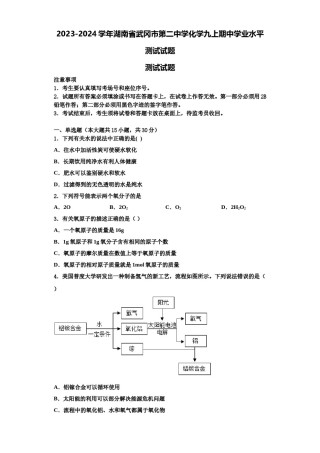 2023-2024学年湖南省武冈市第二中学化学九上期中学业水平测试试题含解析.doc