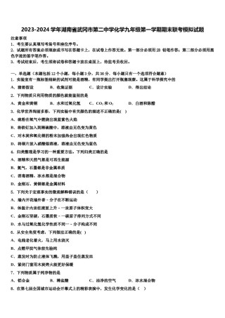 2023-2024学年湖南省武冈市第二中学化学九年级第一学期期末联考模拟试题含解析.doc