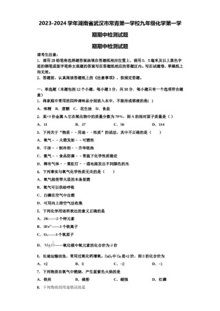 2023-2024学年湖南省武汉市常青第一学校九年级化学第一学期期中检测试题含解析.doc