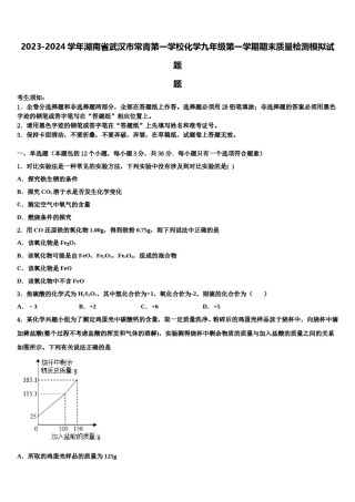 2023-2024学年湖南省武汉市常青第一学校化学九年级第一学期期末质量检测模拟试题含解析.doc