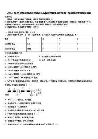 2023-2024学年湖南省武汉武昌区五校联考九年级化学第一学期期末检测模拟试题含解析.doc