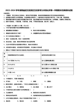2023-2024学年湖南省武汉武昌区五校联考九年级化学第一学期期末经典模拟试题含解析.doc