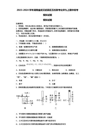 2023-2024学年湖南省武汉武昌区五校联考化学九上期中统考模拟试题含解析.doc