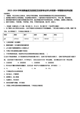 2023-2024学年湖南省武汉武昌区五校联考化学九年级第一学期期末统考试题含解析.doc