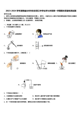 2023-2024学年湖南省永州市东安澄江中学化学九年级第一学期期末质量检测试题含解析.doc