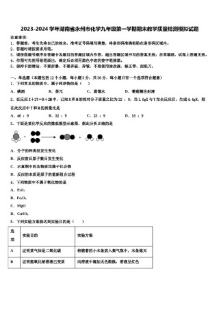 2023-2024学年湖南省永州市化学九年级第一学期期末教学质量检测模拟试题含解析.doc