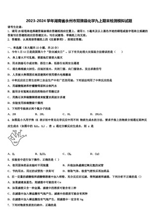 2023-2024学年湖南省永州市双牌县化学九上期末检测模拟试题含解析.doc