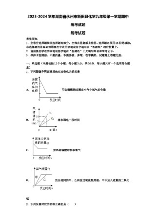 2023-2024学年湖南省永州市新田县化学九年级第一学期期中统考试题含解析.doc