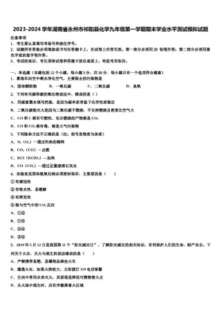 2023-2024学年湖南省永州市祁阳县化学九年级第一学期期末学业水平测试模拟试题含解析.doc