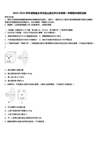2023-2024学年湖南省永州市蓝山县化学九年级第一学期期末调研试题含解析.doc