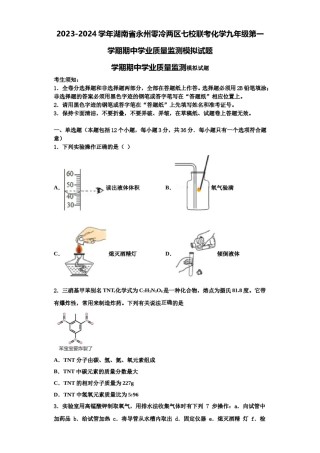 2023-2024学年湖南省永州零冷两区七校联考化学九年级第一学期期中学业质量监测模拟试题含解析.doc
