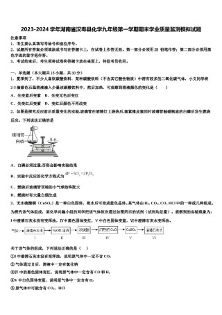 2023-2024学年湖南省汉寿县化学九年级第一学期期末学业质量监测模拟试题含解析.doc