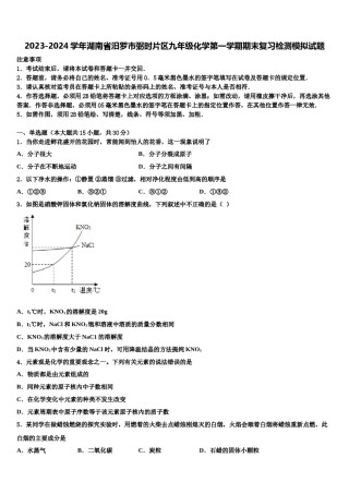 2023-2024学年湖南省汨罗市弼时片区九年级化学第一学期期末复习检测模拟试题含解析.doc