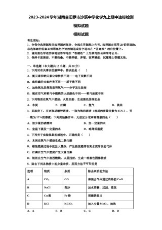 2023-2024学年湖南省汨罗市沙溪中学化学九上期中达标检测模拟试题含解析.doc
