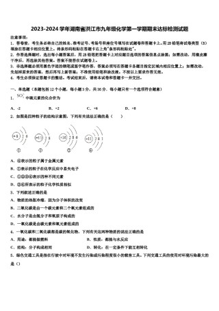 2023-2024学年湖南省洪江市九年级化学第一学期期末达标检测试题含解析.doc