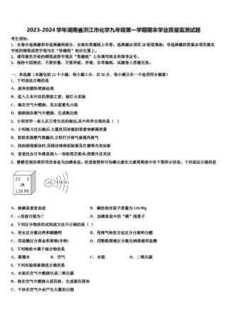 2023-2024学年湖南省洪江市化学九年级第一学期期末学业质量监测试题含解析.doc