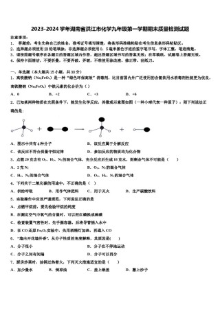 2023-2024学年湖南省洪江市化学九年级第一学期期末质量检测试题含解析.doc